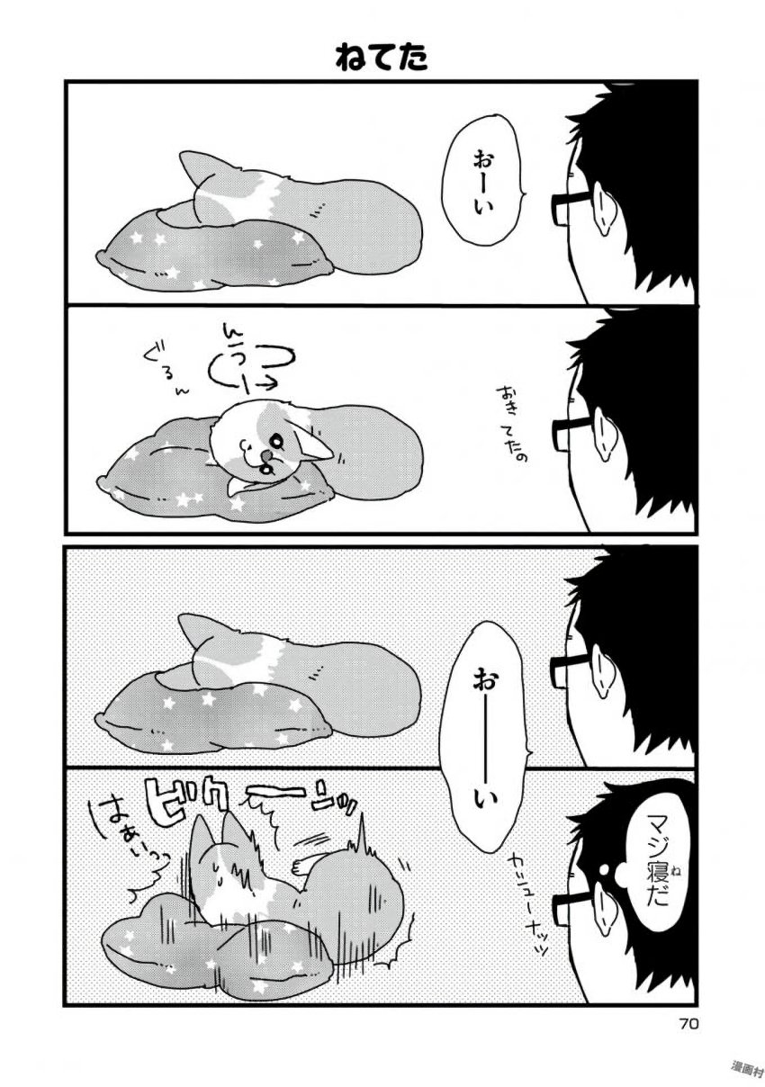 P14