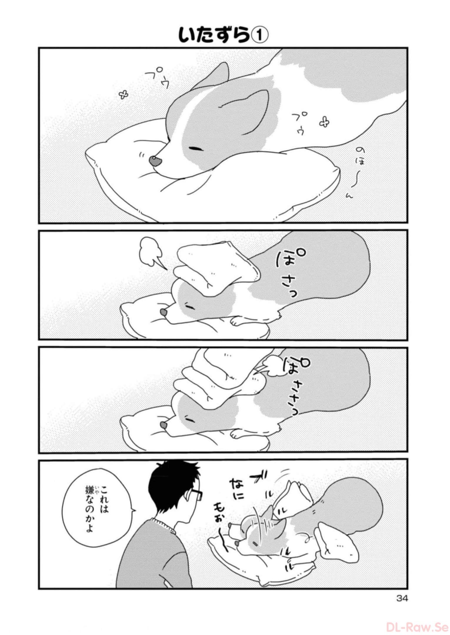 P14