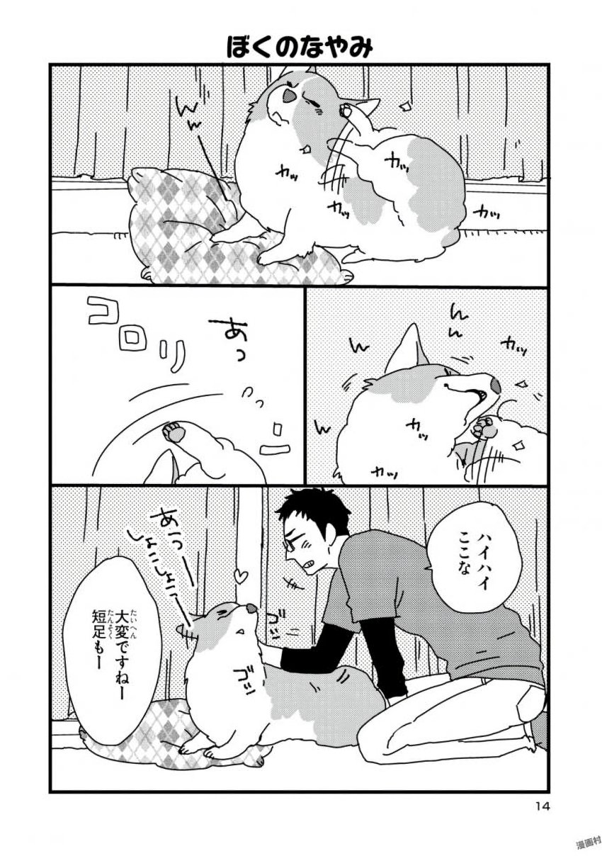 P12