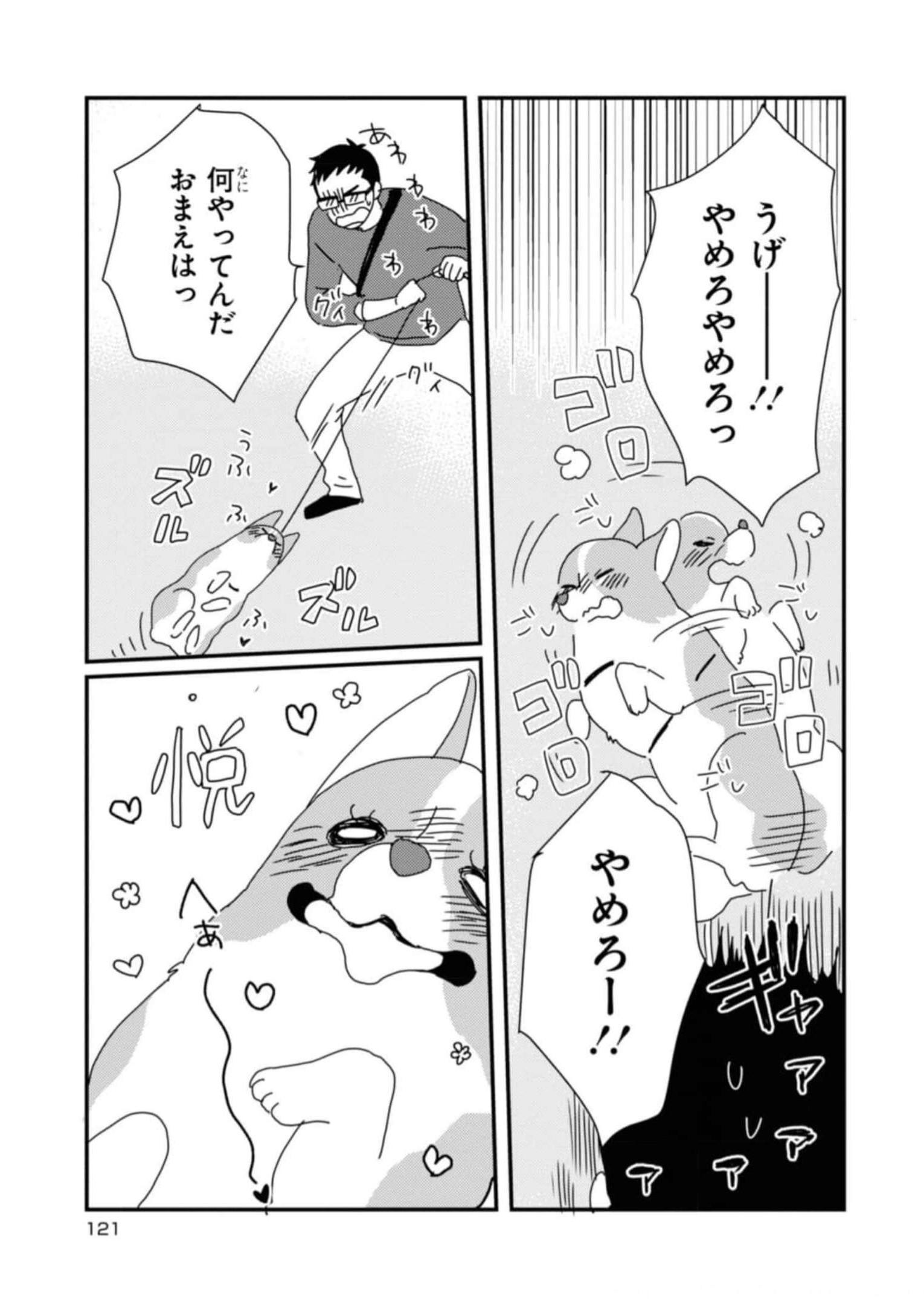P11