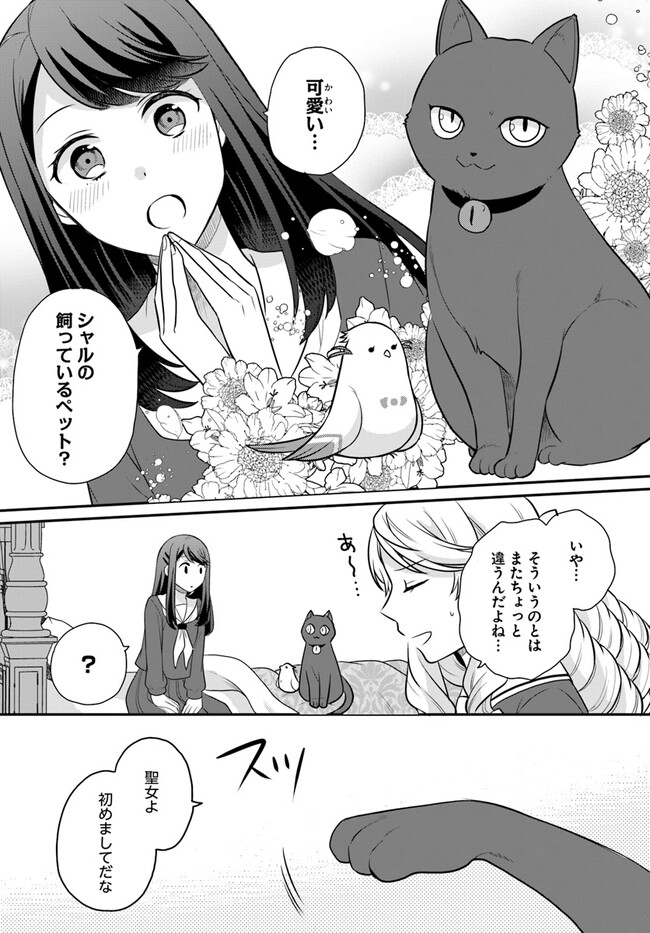 P29