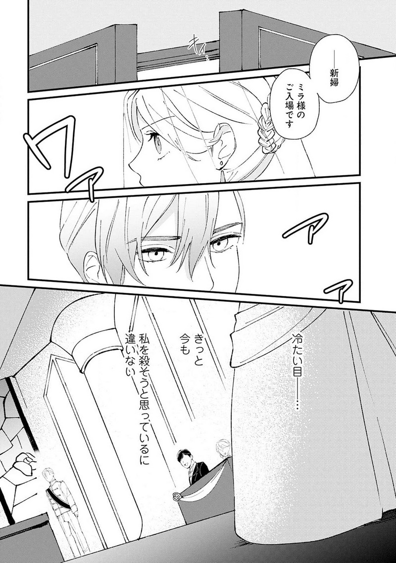 P26