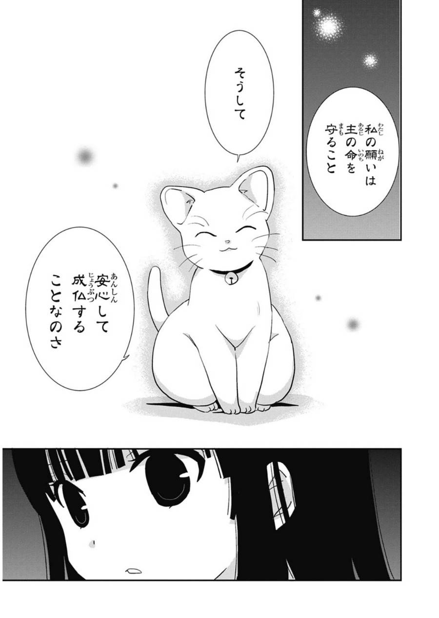 P33