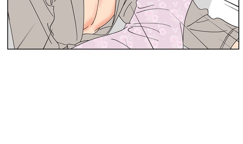 P66