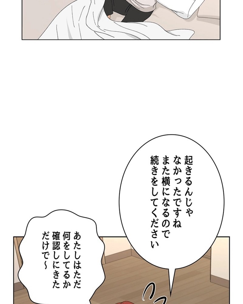 P66