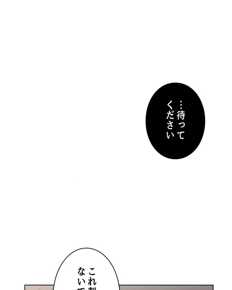 P58