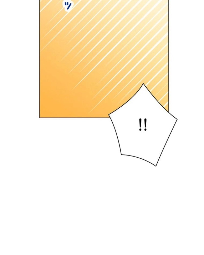 P61