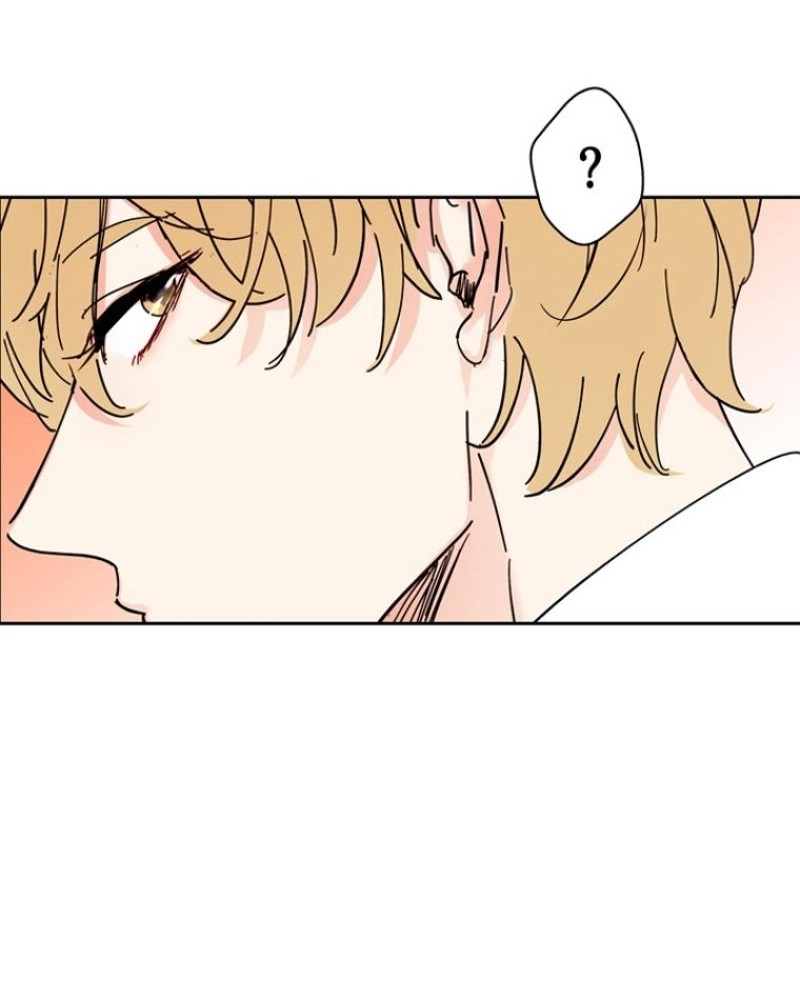 P67