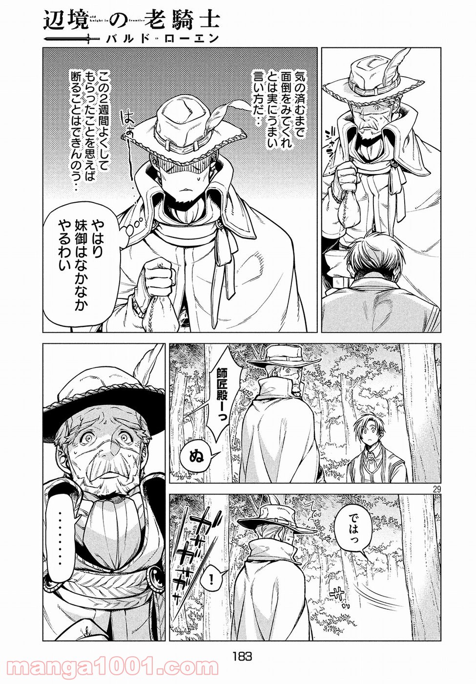P29