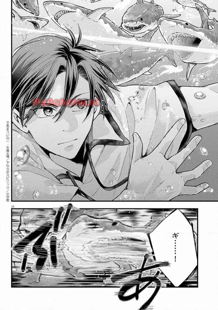 P16