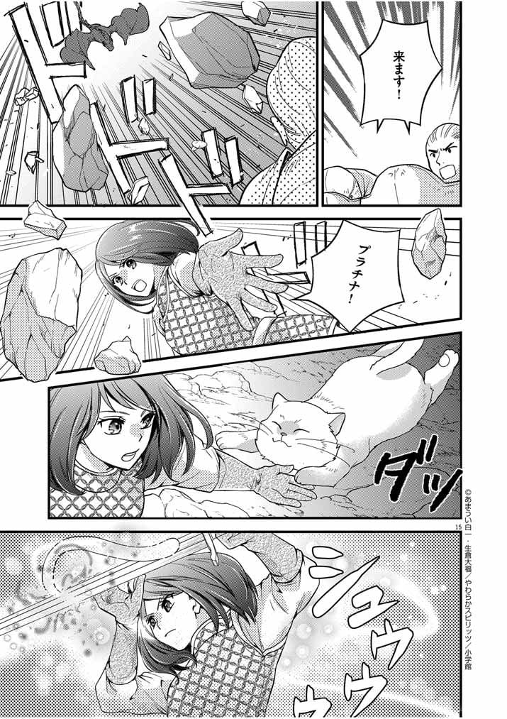 P15