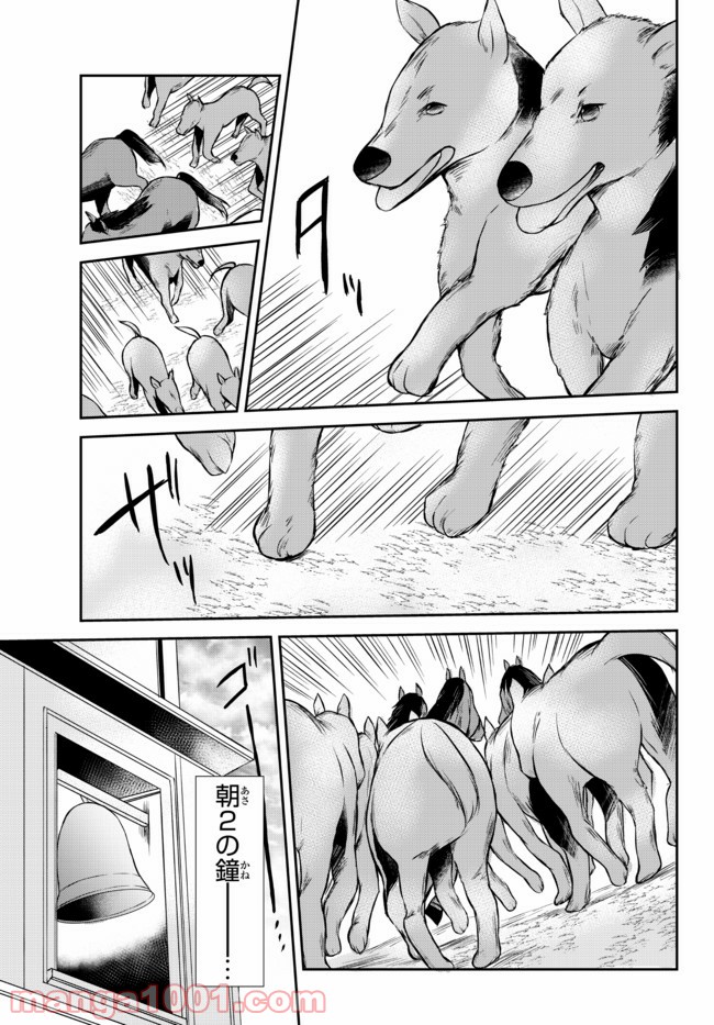 P12