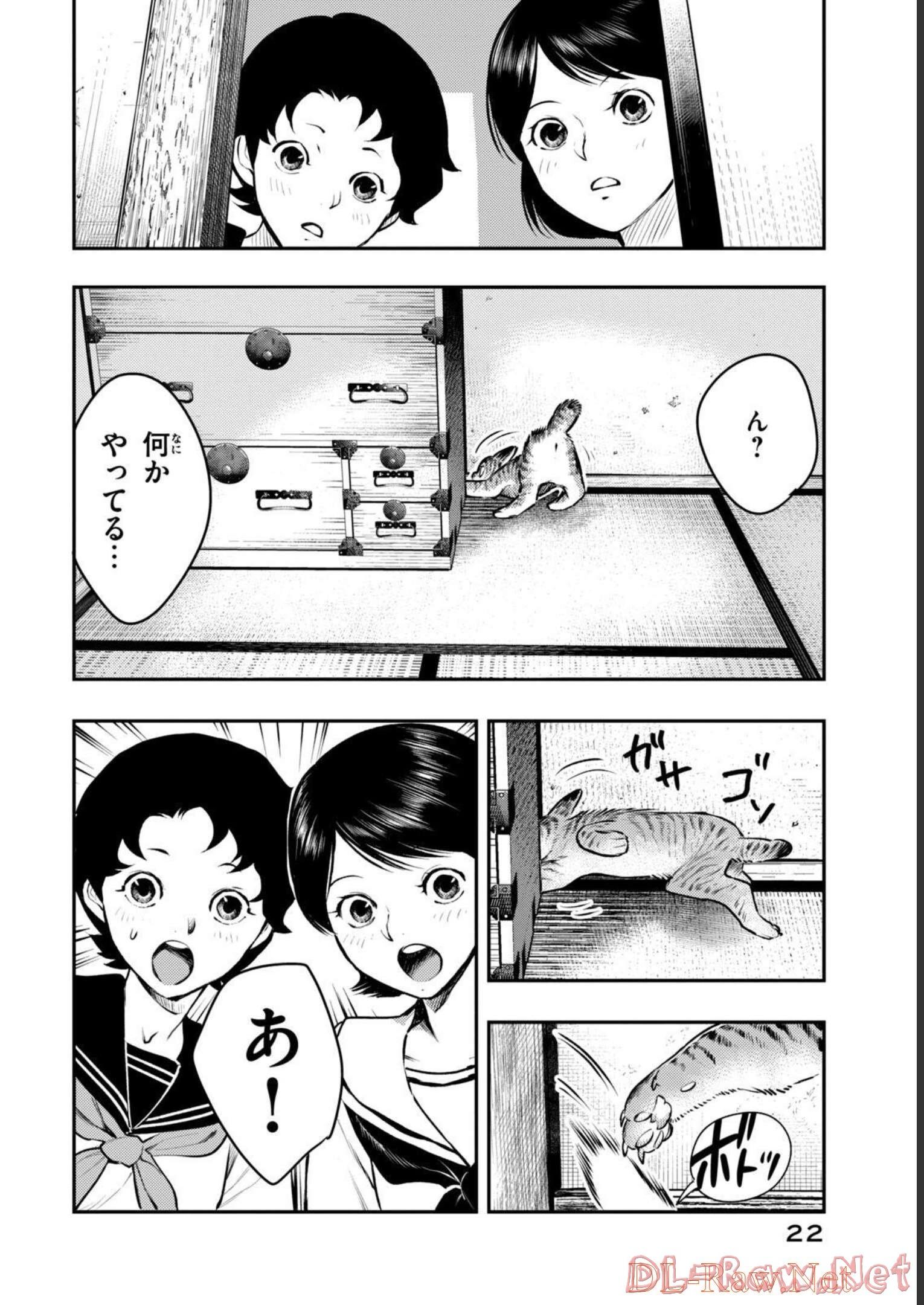 P20