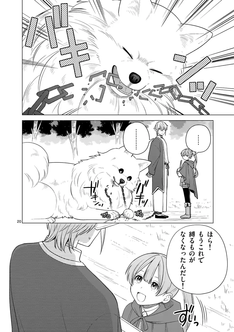 P20