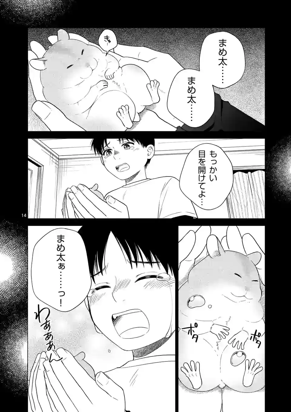 P14