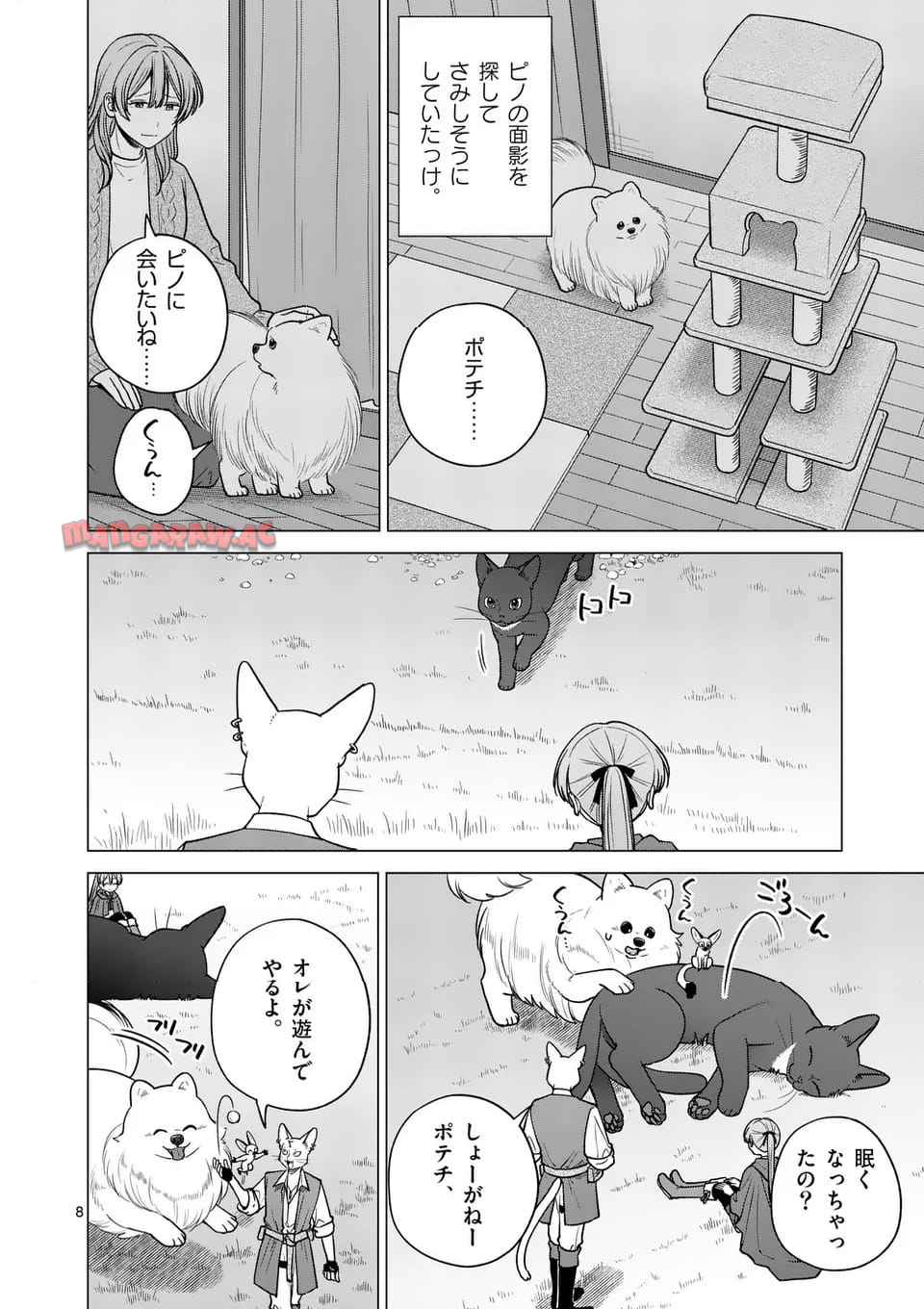 P8