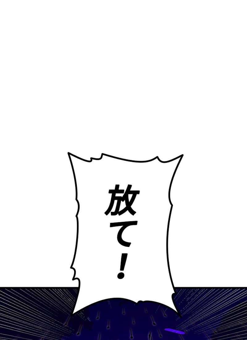 P66