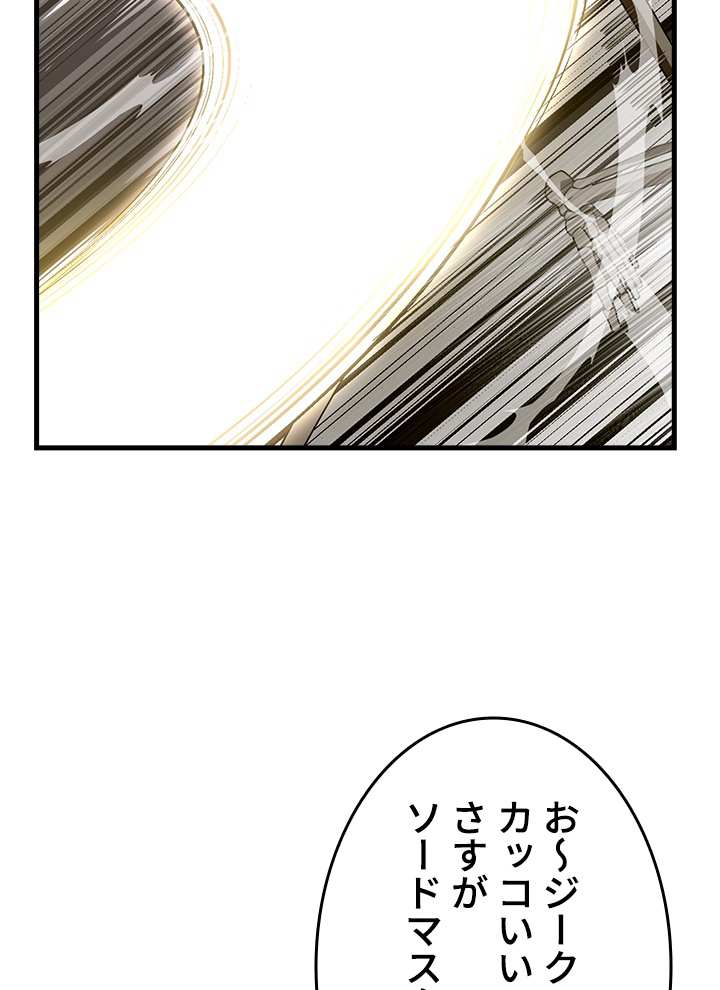 P113