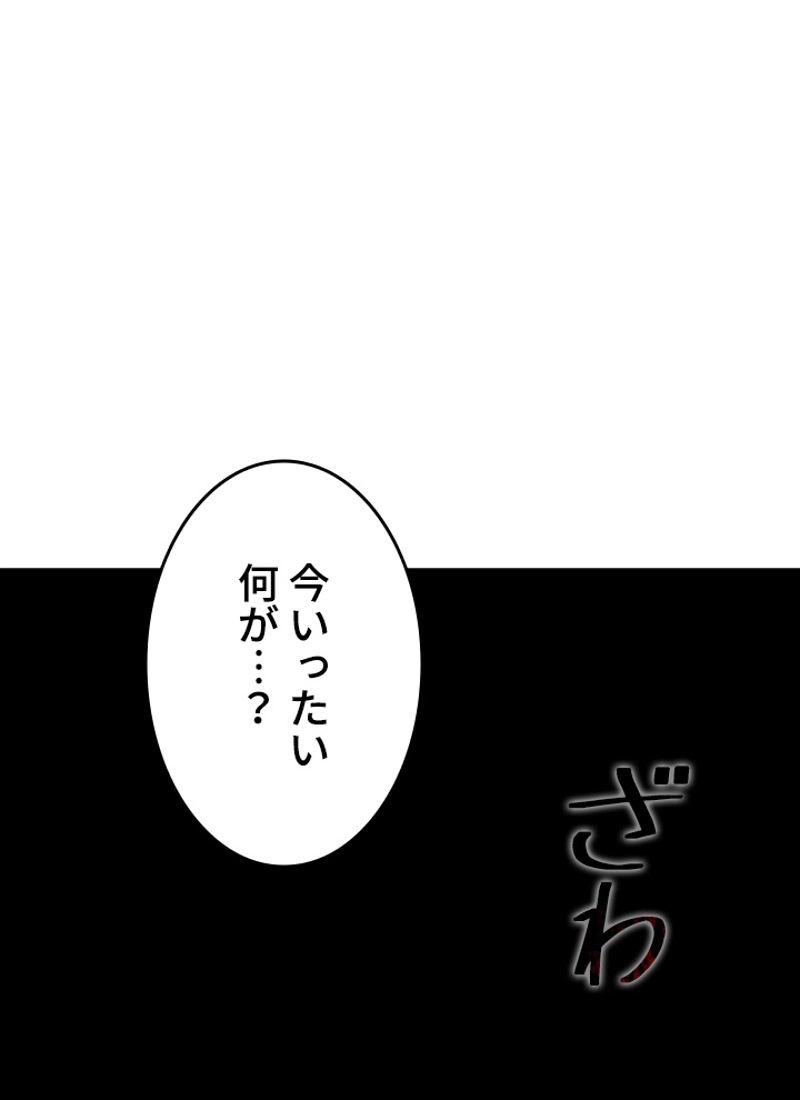 P63