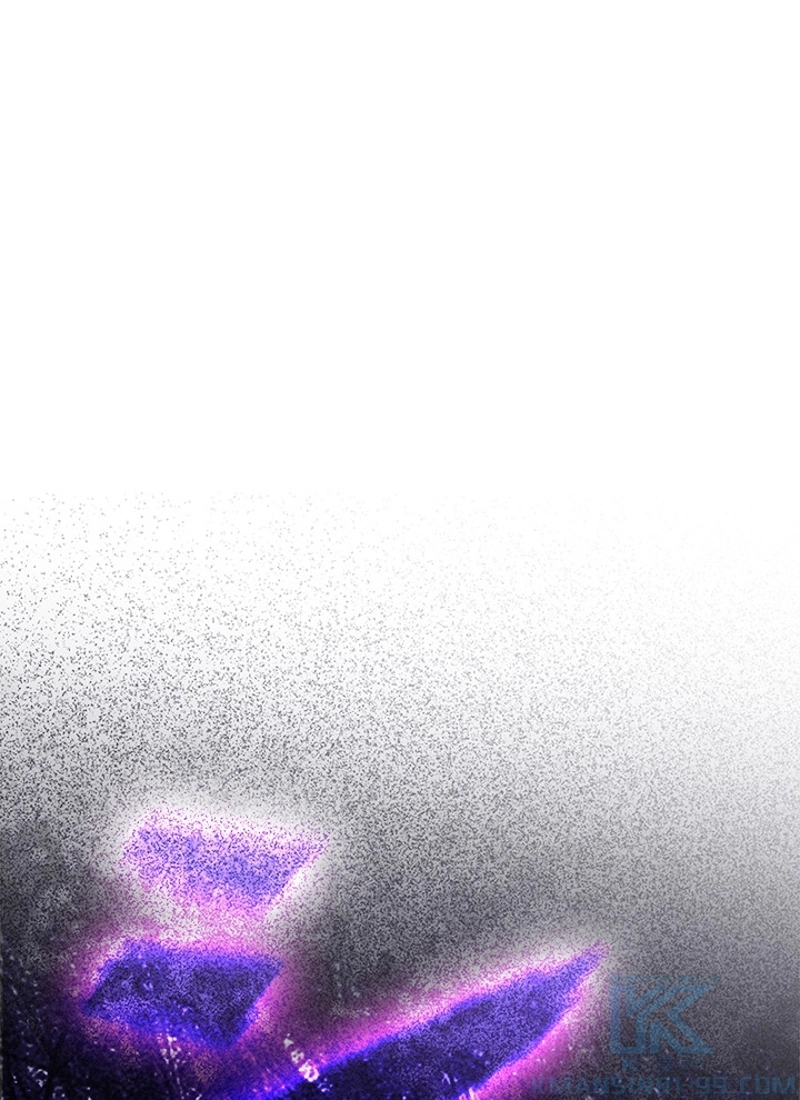 P113
