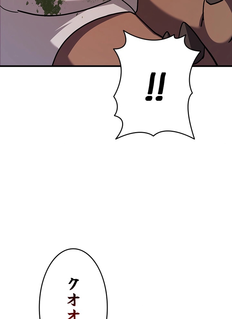 P113