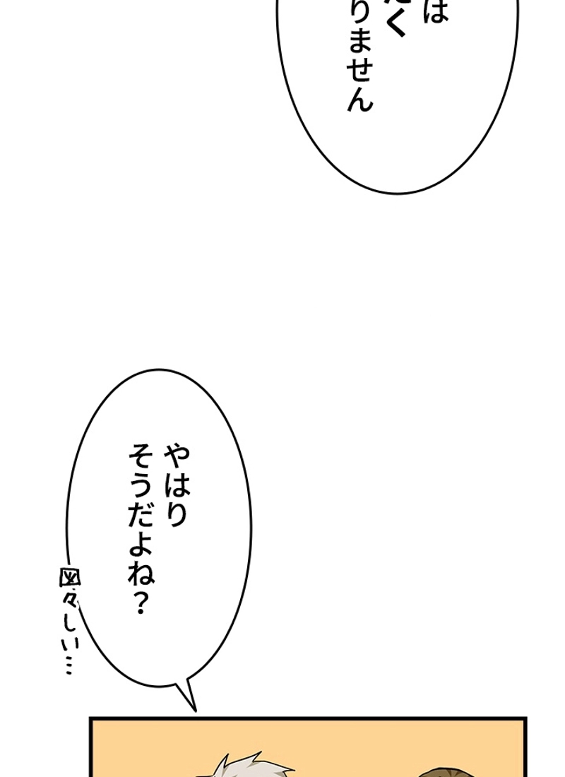 P113