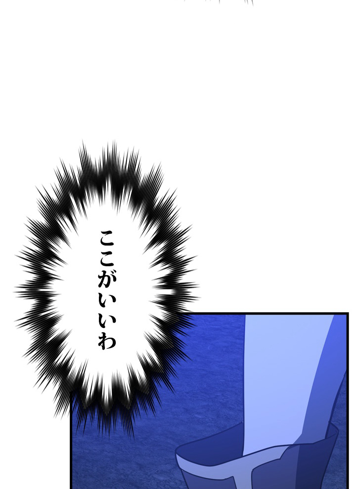 P66