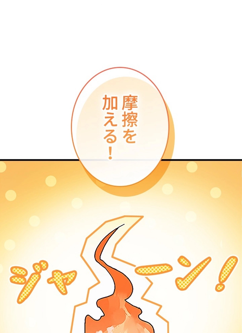 P58