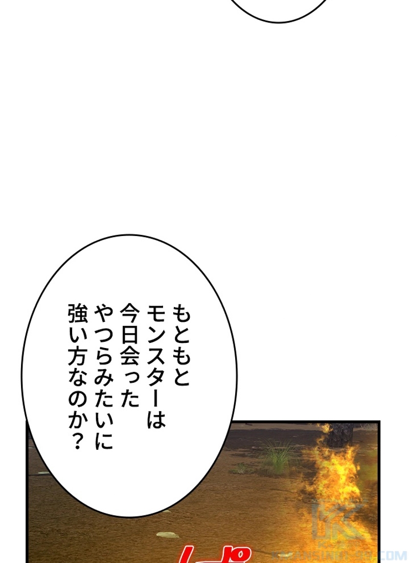 P61