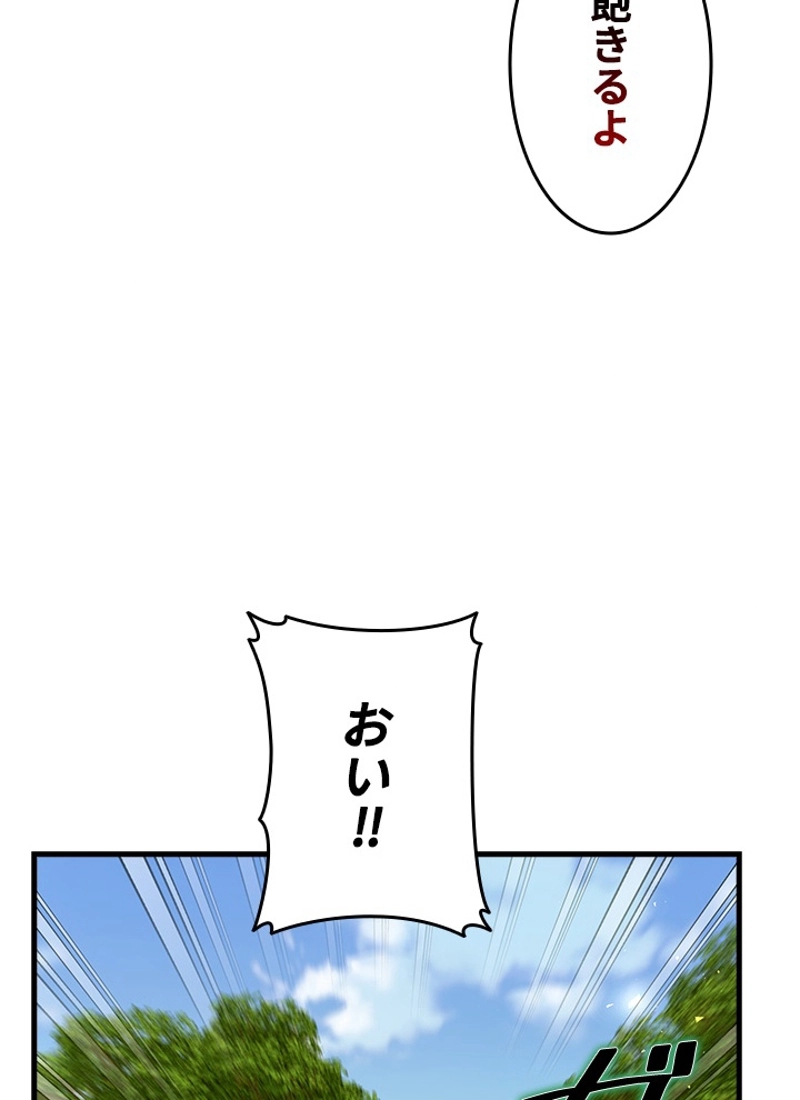 P44