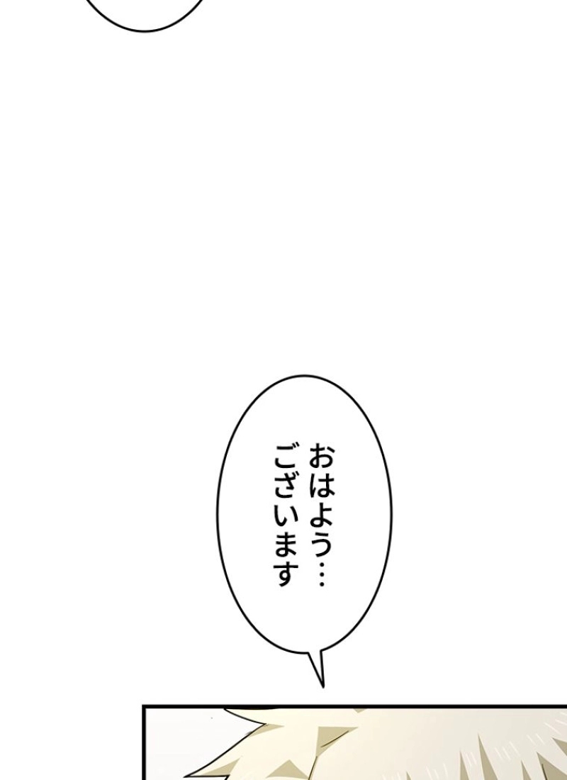 P66