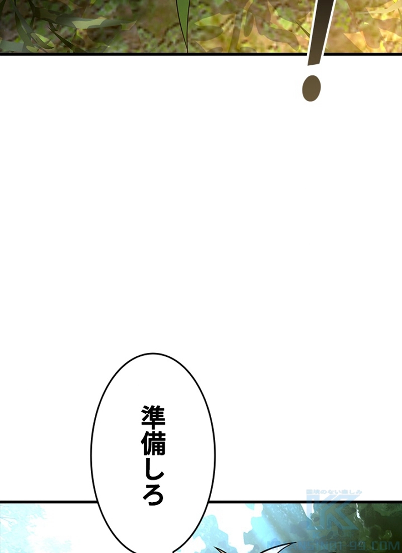 P119