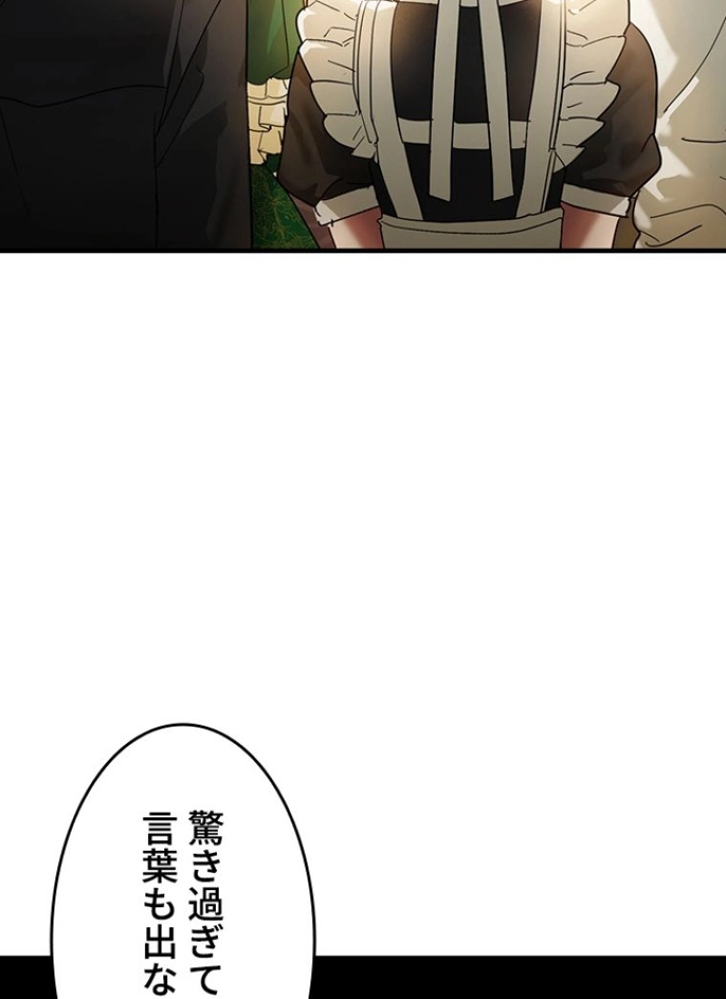 P58