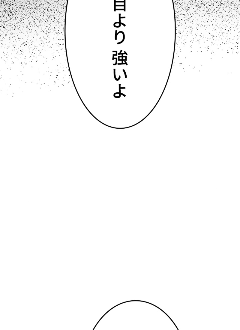 P66