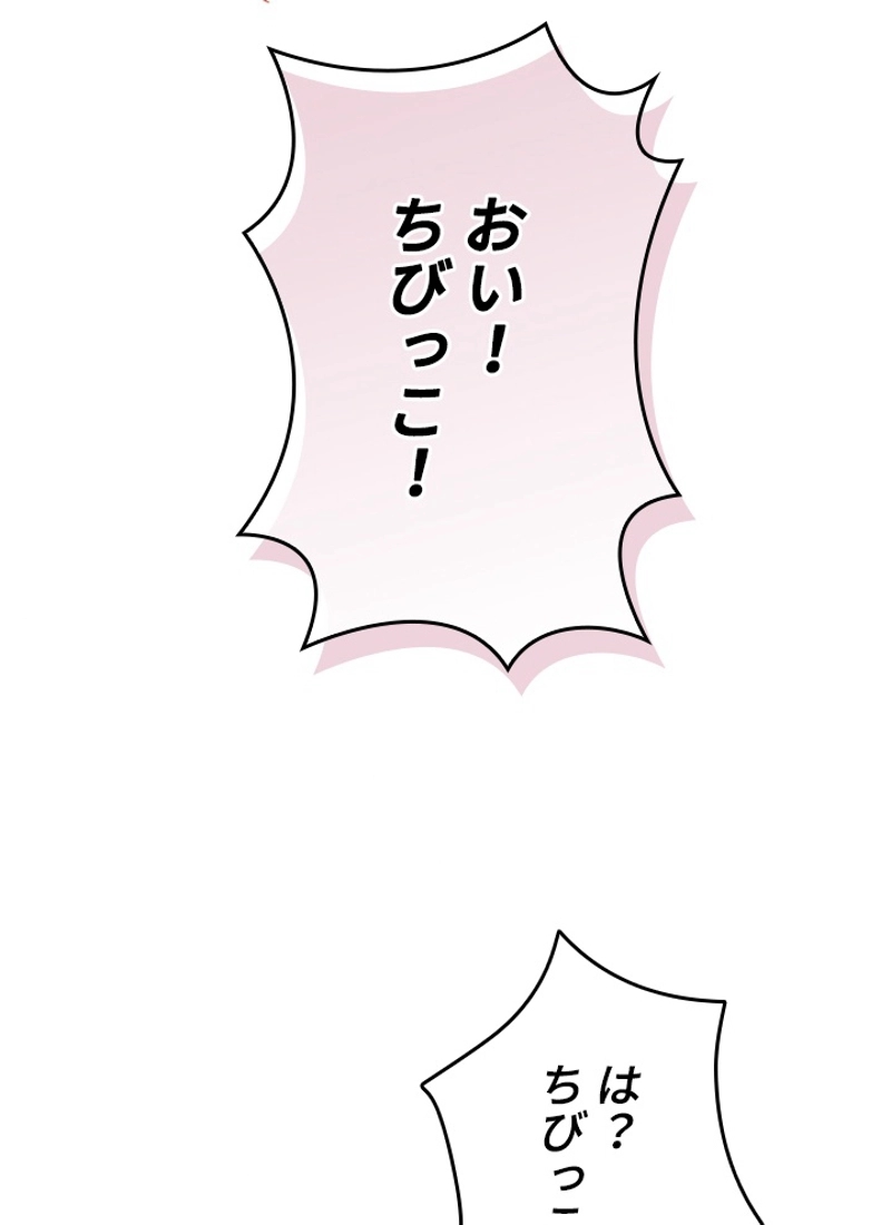 P61
