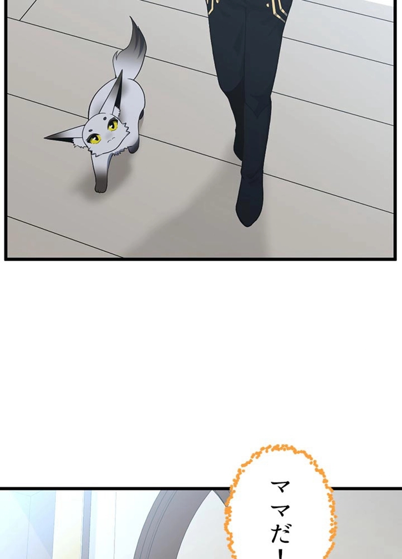 P73