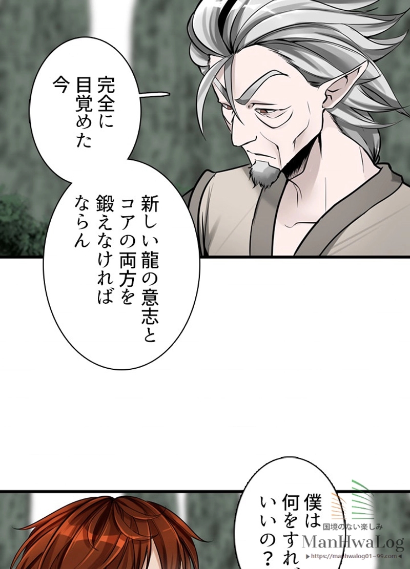 P66