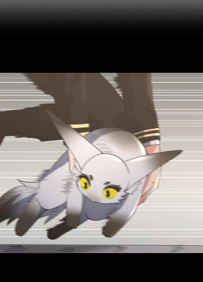 P91