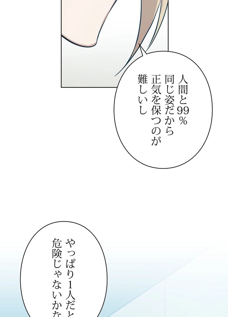 P65