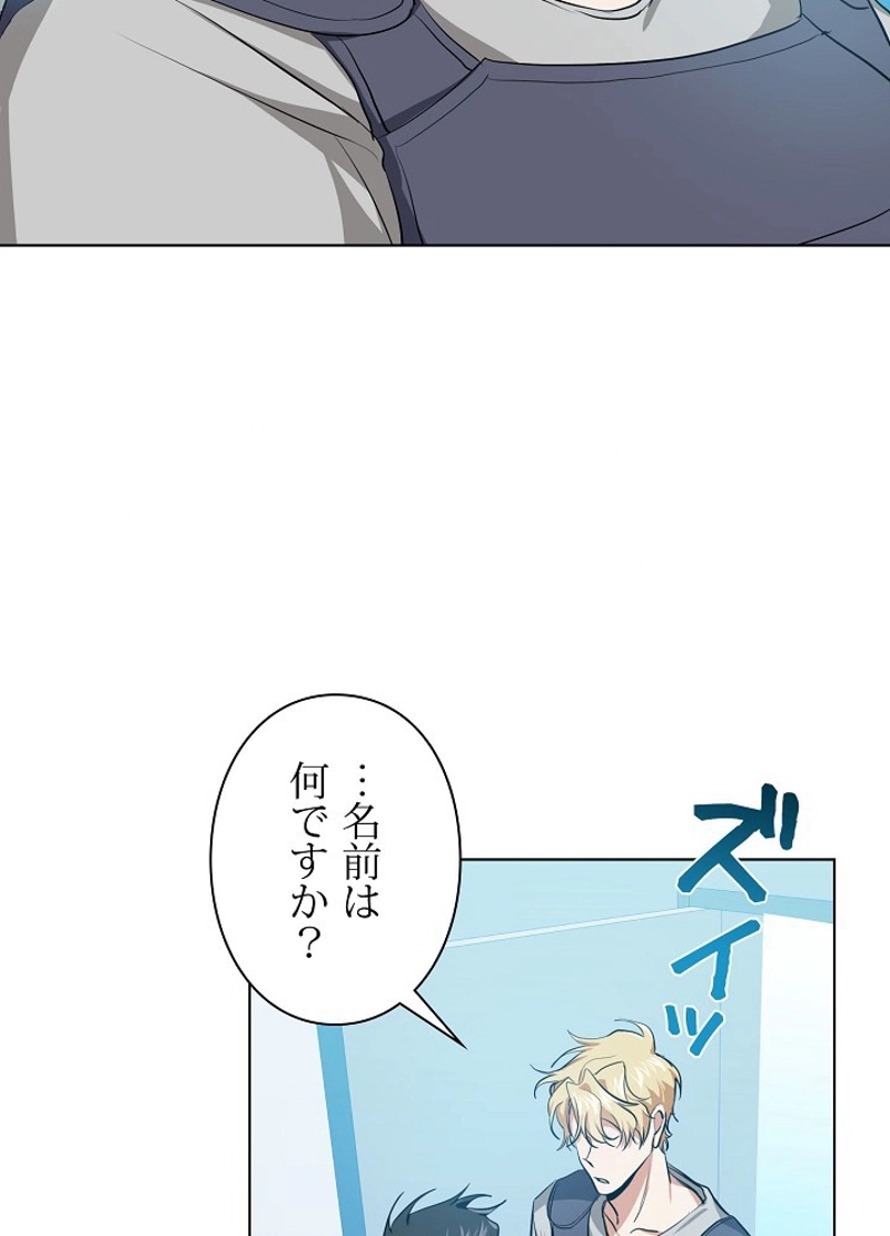 P41