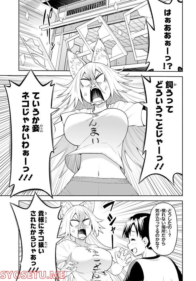 P33