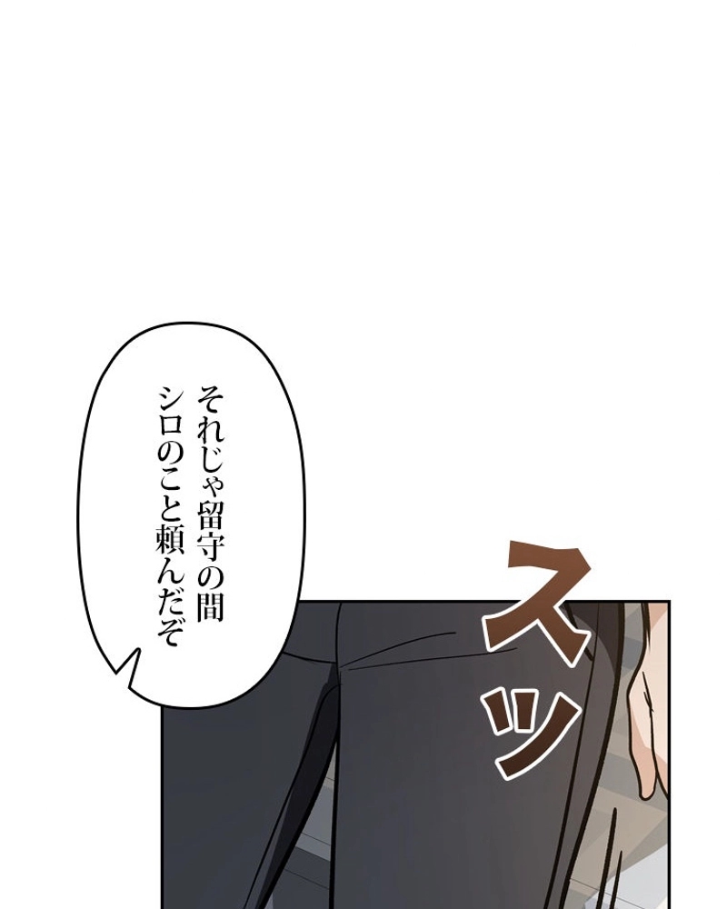 P96