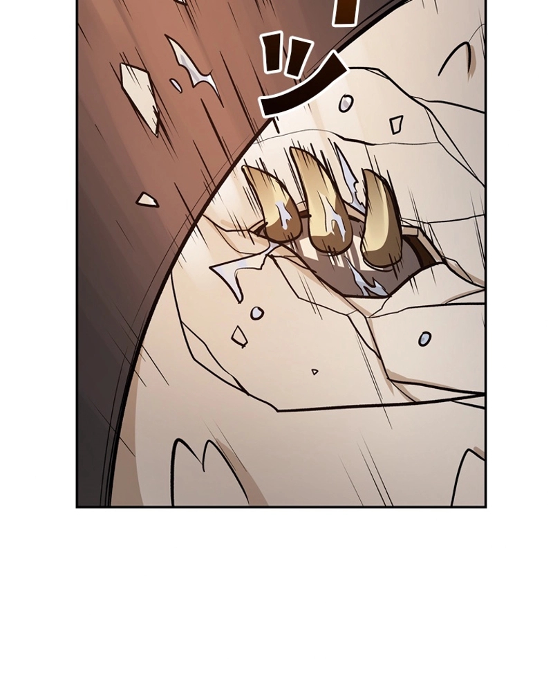 P24