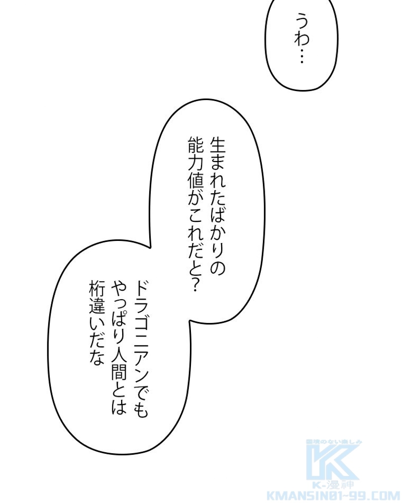 P58