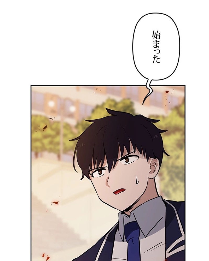 P53