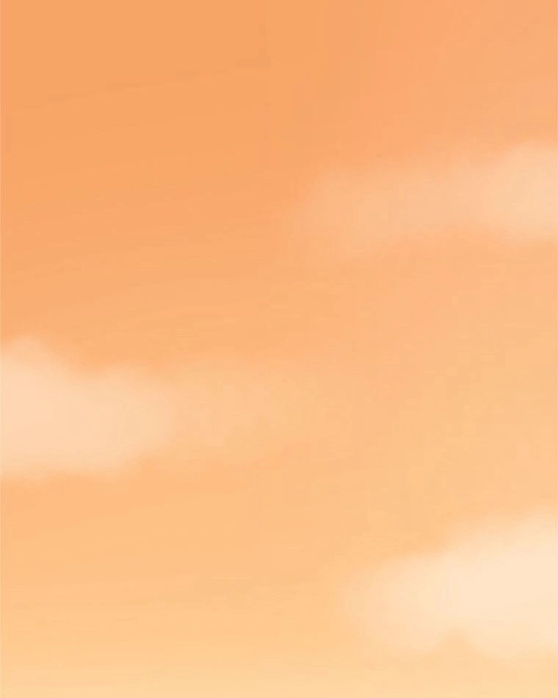 P63