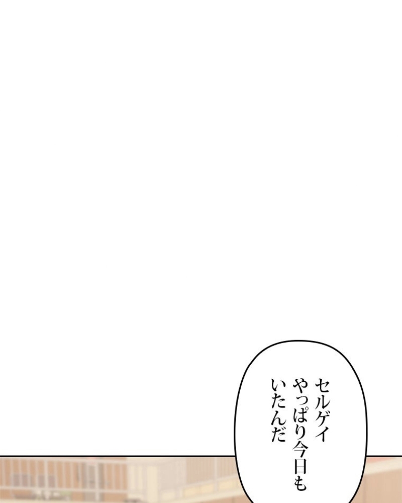 P66