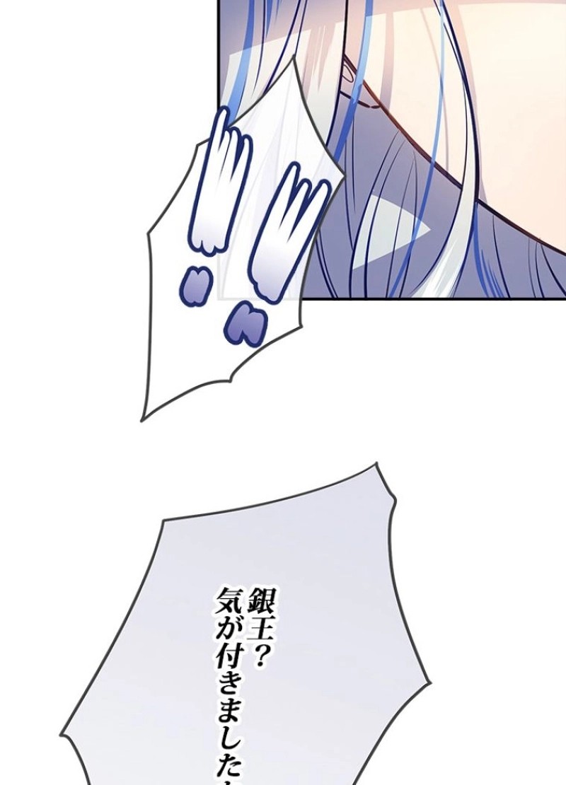 P61
