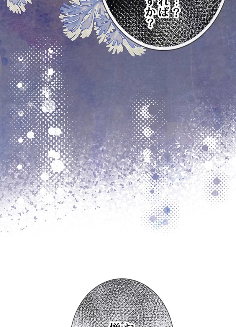 P66