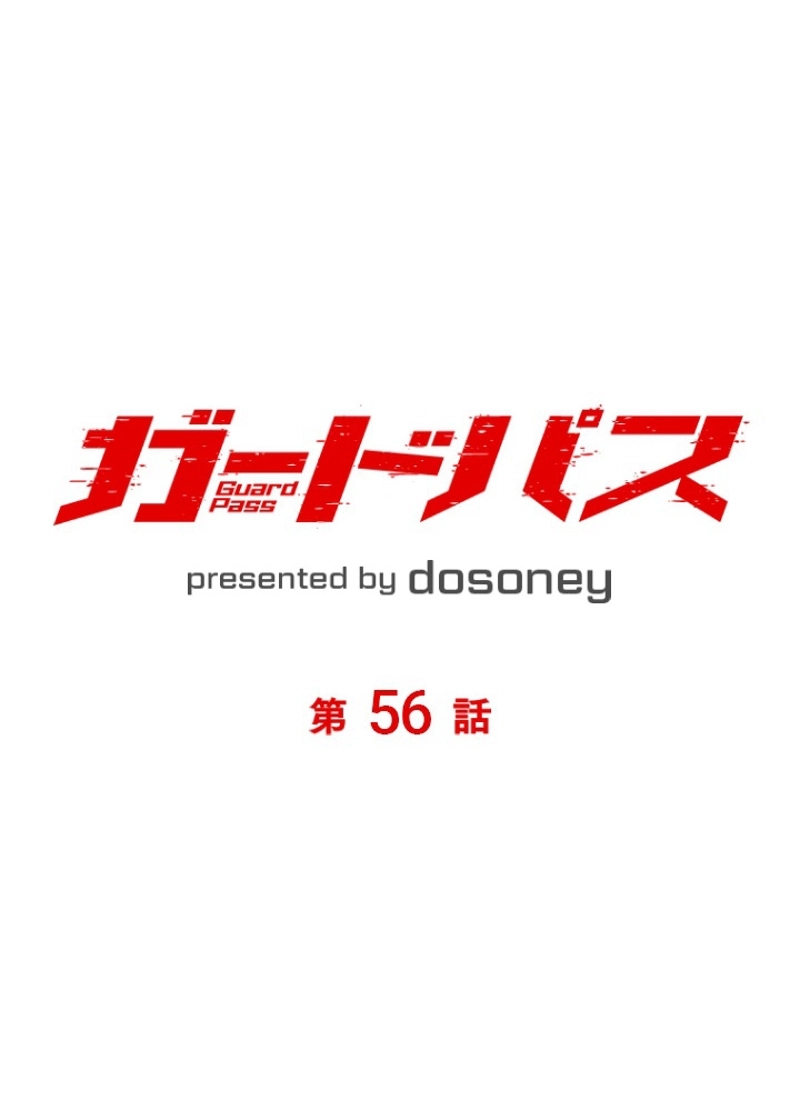 P53